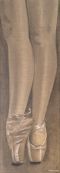 Pointes, Mine de plomb, huile et pastel sur toilede Lin format 20 x 80cm